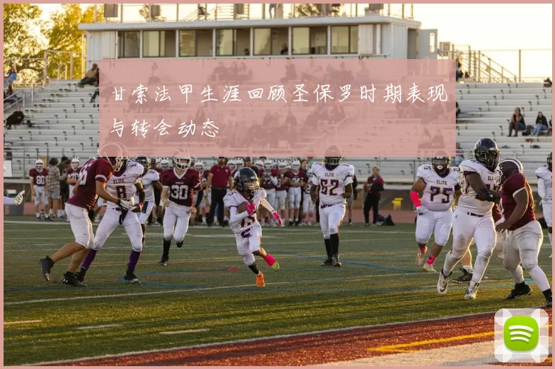 甘索法甲生涯回顾圣保罗时期表现与转会动态