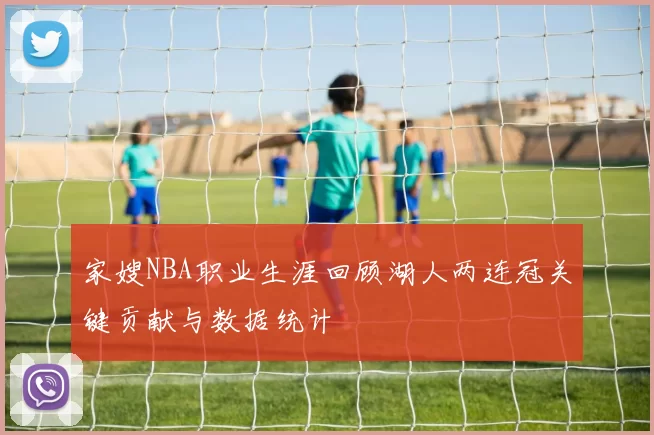 家嫂NBA职业生涯回顾湖人两连冠关键贡献与数据统计