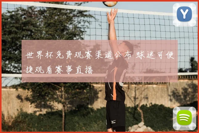 世界杯免费观赛渠道公布 球迷可便捷观看赛事直播